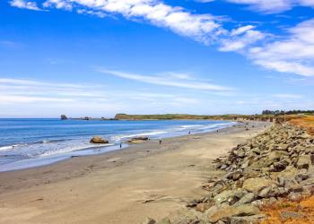 Relax amid the California redwoods from a Crescent City vacation home - HomeToGo