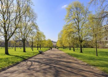 City centre London living with Hyde Park holiday lettings - HomeToGo