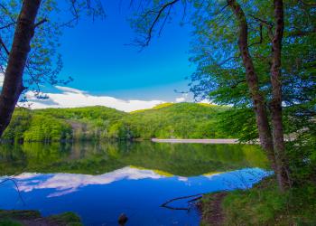 Alojamientos y casas rurales en Montseny - HomeToGo