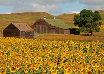 Explore the Great Plains from your North Dakota Vacation Home - HomeToGo