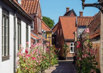 Auf geht's: Urlaubsglück in einem Ferienhaus in Südjütland - HomeToGo