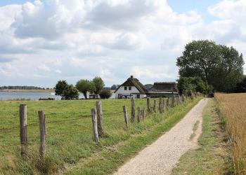 Vom Ferienhaus aus Schleswig-Holsteins Natur und Kultur erleben - HomeToGo