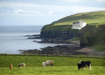 Holiday Cottages & Homes in Scotland - HomeToGo