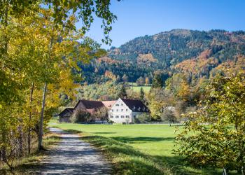 Judenburg – Natur und Kultur im steirischen Murtal - HomeToGo