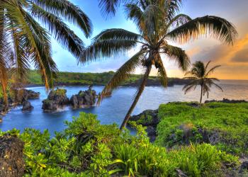 Ferienwohnung auf Maui, der sonnenverwöhnten Insel - HomeToGo