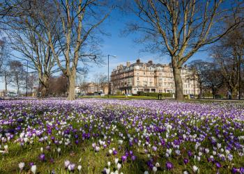Accommodation in Harrogate - HomeToGo