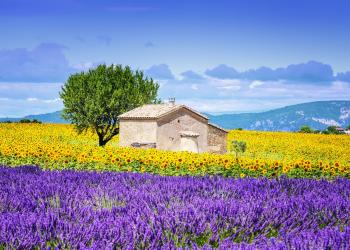 Seaside, mountains and culture with a holiday letting in Provence - HomeToGo