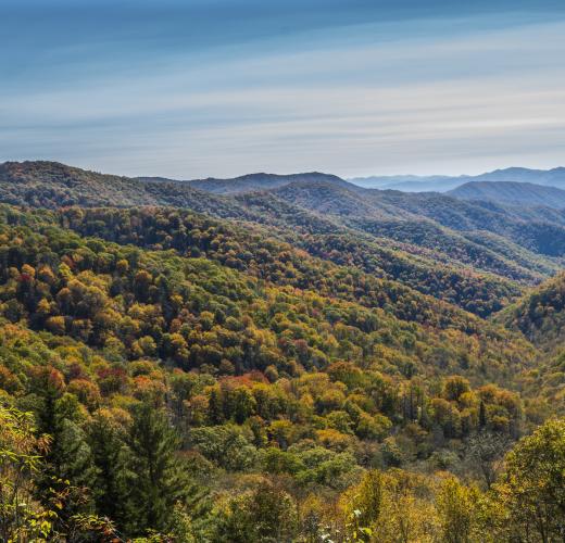 Cherokee Nc Cabin Rentals From 74 Hometogo