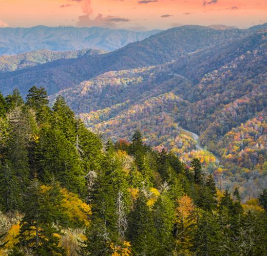 Top Smoky Mountains Vacation Rentals | Tripping.com.