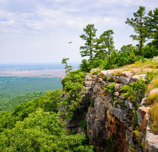 Petit Jean State Park Vacation Rentals From 65 Hometogo