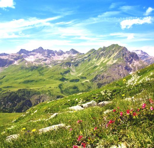 Unterkünfte und Ferienwohnungen in Wald am Arlberg - HomeToGo