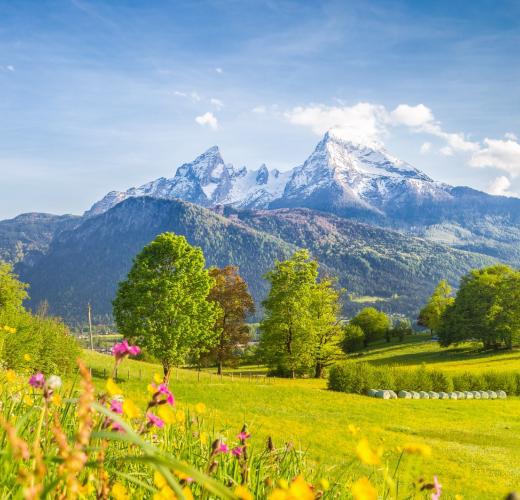 Im bayerischen Schwabenland eine Ferienwohnung in Illertissen mieten - HomeToGo