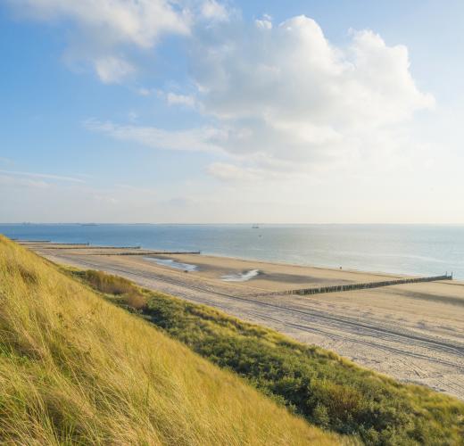 Een vakantiehuis aan de uitgestrekte stranden van Zeeuws-Vlaanderen - HomeToGo