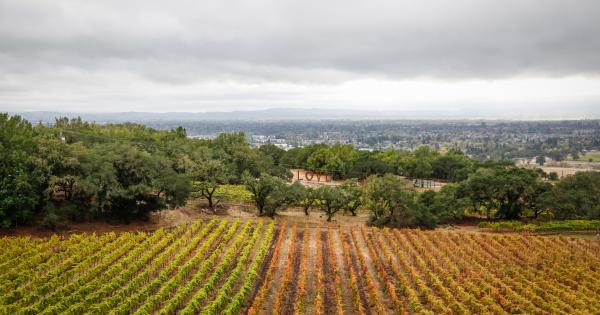 The California Wine Country experience in a Santa Rosa vacation home - HomeToGo