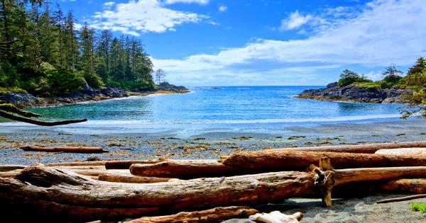 Unterkünfte und Ferienwohnungen in Tofino - HomeToGo