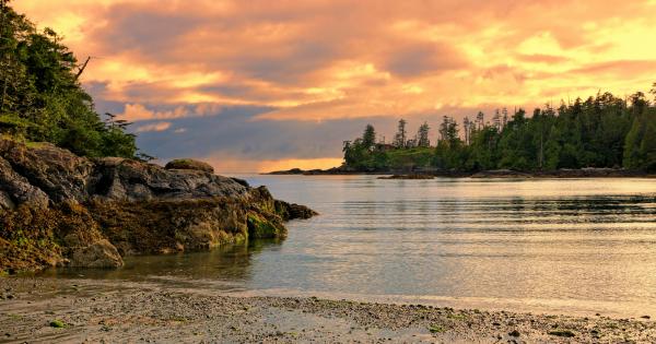 Spot whales and enjoy fresh oysters with Ucluelet vacation rentals - HomeToGo