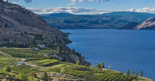 Bask in the beauty of wine and lake land at Kelowna, BC vacation homes - HomeToGo