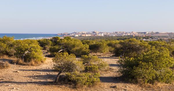 Alquileres vacacionales y apartamentos en Mil Palmeras - HomeToGo