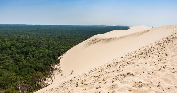 Locations de vacances et chambres d'hôtes à La Teste-de-Buch - HomeToGo