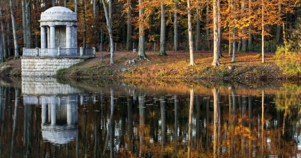 Ein Ferienhaus in Krefeld ist eine gute Idee - HomeToGo