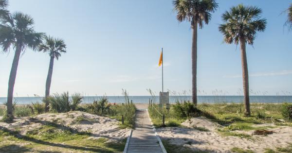 Discover a coastal haven with vacation rentals on Dewees Island - HomeToGo