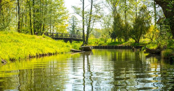Ferienwohnung in Burg im Spreewald – Entspannung und Ausflüge - HomeToGo