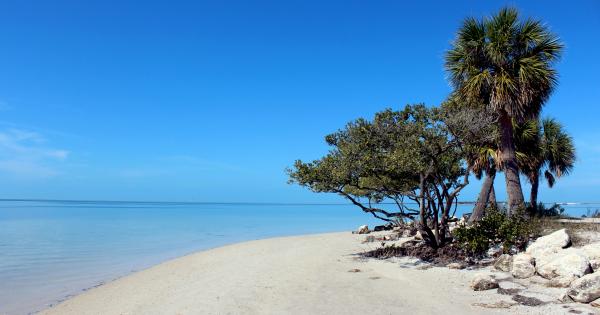 Experience Gulf Coast beauty in a Tarpon Springs vacation home - HomeToGo