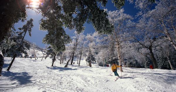 Stay in vacation rental in the world-class ski resort of Killington - HomeToGo