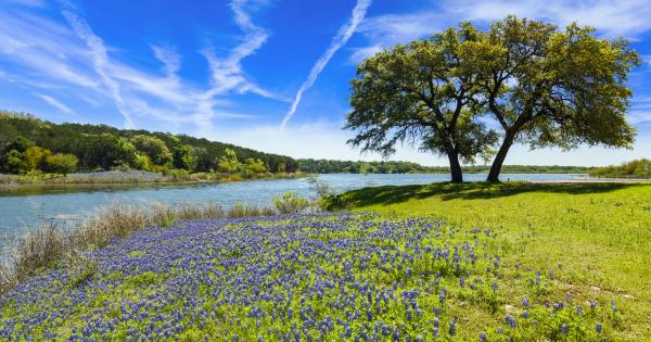 Enjoy Texas sized fun for the whole family with a Waco vacation home - HomeToGo
