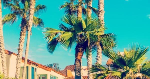 Spend your holidays Oceanside with a holiday letting  - HomeToGo