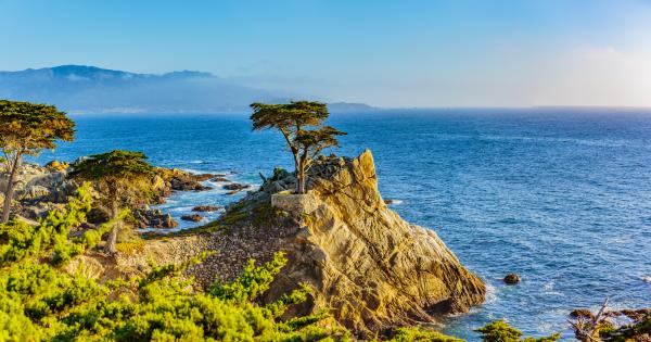 Pacific Grove vacation homes merge coast and culture - HomeToGo