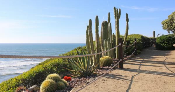 Vacation Rentals in Encinitas - HomeToGo