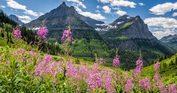 Unlimited nature with a holiday home at Glacier National Park - HomeToGo