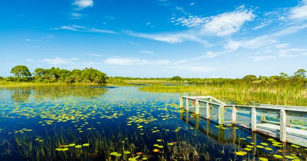 Ocean views await at Port St Lucie vacation homes - HomeToGo