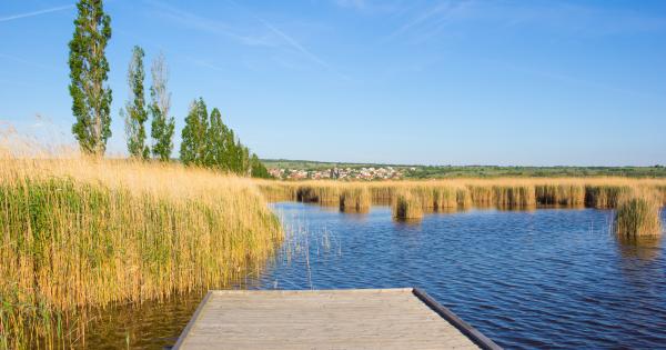 Unterkünfte & Ferienwohnungen in Mörbisch am See  - HomeToGo