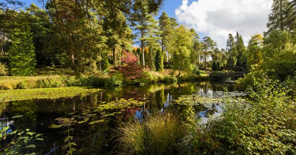 Royal Tunbridge Wells holiday cottages in Kent, the Garden of England - HomeToGo
