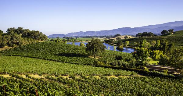 Discover wine and valleys with a St. Helena vacation rental - HomeToGo