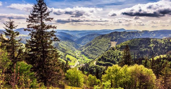 Urlaub Im Tal Der Der Hundert Täler - Ihre Ferienwohnung In Münstertal - HomeToGo