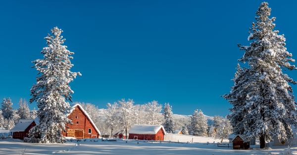 Cabins in McCall - HomeToGo
