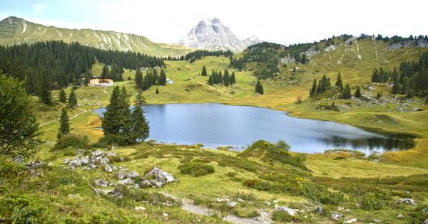 Passend für Ihren Urlaub: eine Ferienwohnung im Bregenzerwald - HomeToGo