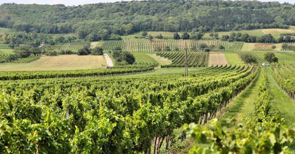 Ferienwohnung in Apelton – ideal für Natur- und Weinliebhaber - HomeToGo