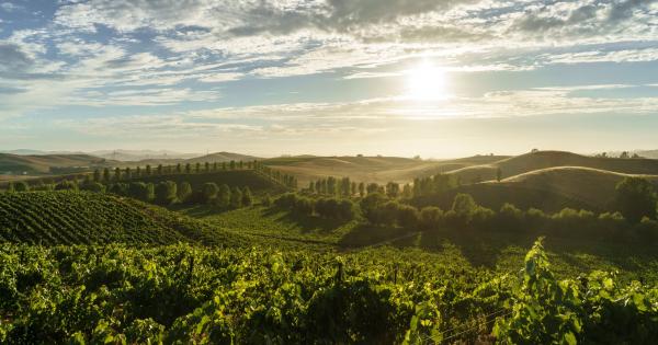 Hole up in Healdsburg vacation homes with superb local vintages - HomeToGo