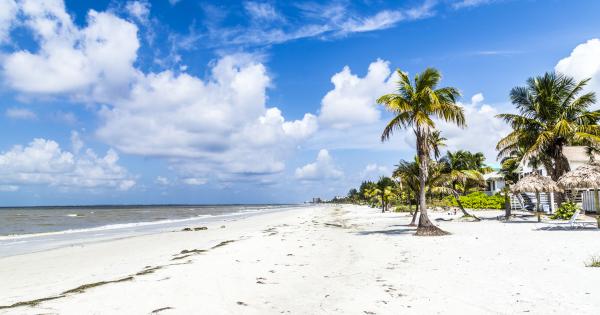 Enjoy country living from a seaside Dunedin vacation rental - HomeToGo