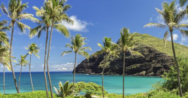 Vacation Rentals on Oahu Island - HomeToGo