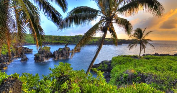 Ferienwohnung auf Maui, der sonnenverwöhnten Insel - HomeToGo