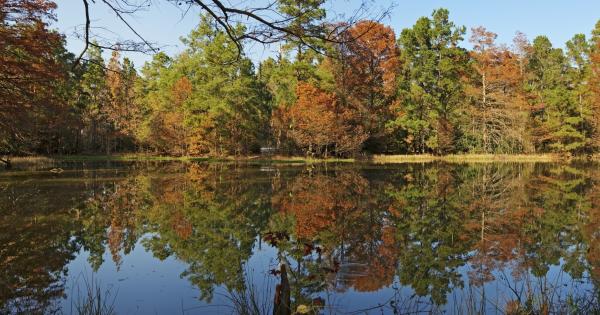 Alabama State Parks - HomeToGo