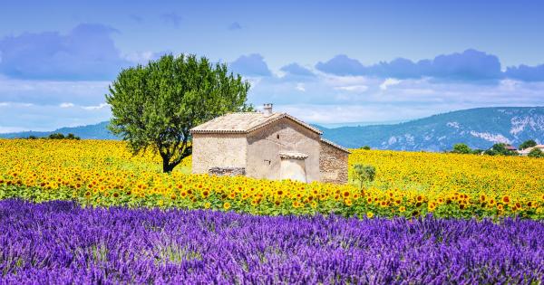 La Riviera Francesa desde tu casa rural en Provenza-Alpes-Costa Azul - HomeToGo