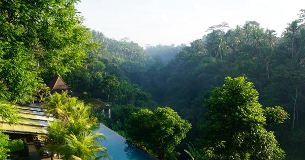 Experience the wonders of Bali at an Ubud vacation rental - HomeToGo