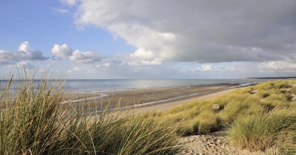 Le Touquet Holiday Rentals - HomeToGo