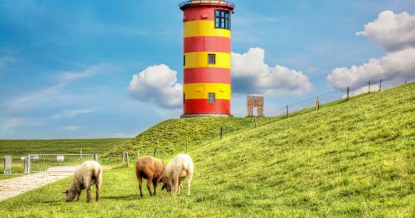 Bauernhofurlaub in Ostfriesland - HomeToGo